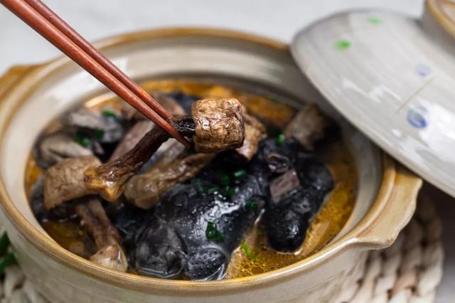 國家蘑菇地理：中國哪里的蘑菇最好吃？