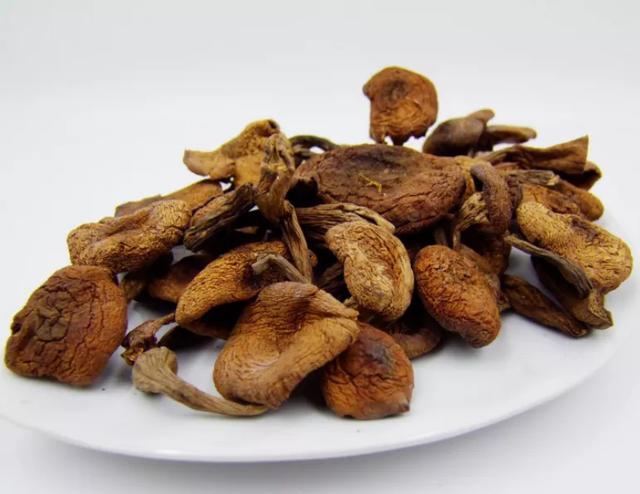 國家蘑菇地理：中國哪里的蘑菇最好吃？