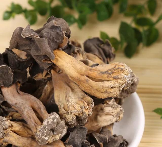 國家蘑菇地理：中國哪里的蘑菇最好吃？