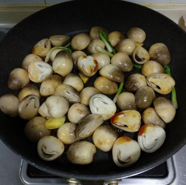國家蘑菇地理：中國哪里的蘑菇最好吃？